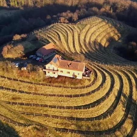 Hisa Vina * Podlehnik