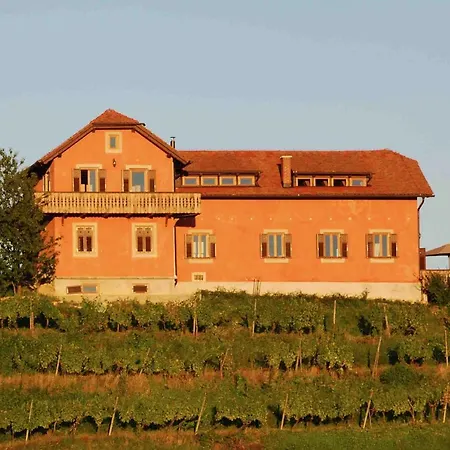 Hisa Vina Дом отдыха