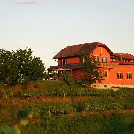 Hisa Vina Holiday home *