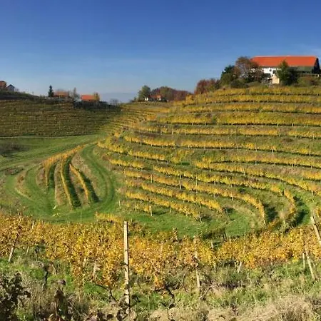 Hisa Vina Podlehnik