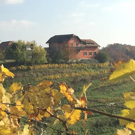 Hisa Vina * Podlehnik