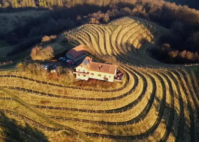 Hisa Vina * Podlehnik