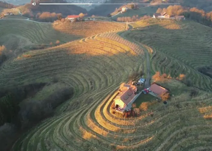 Hisa Vina * Podlehnik