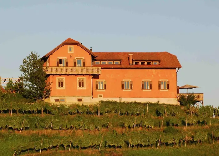 Hisa Vina Дом отдыха