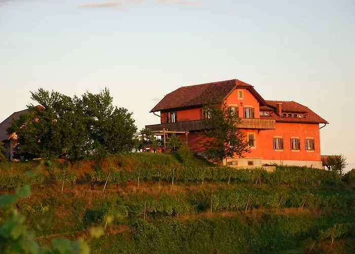 Hisa Vina Дом отдыха *