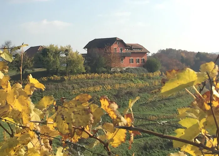 Hisa Vina * Podlehnik